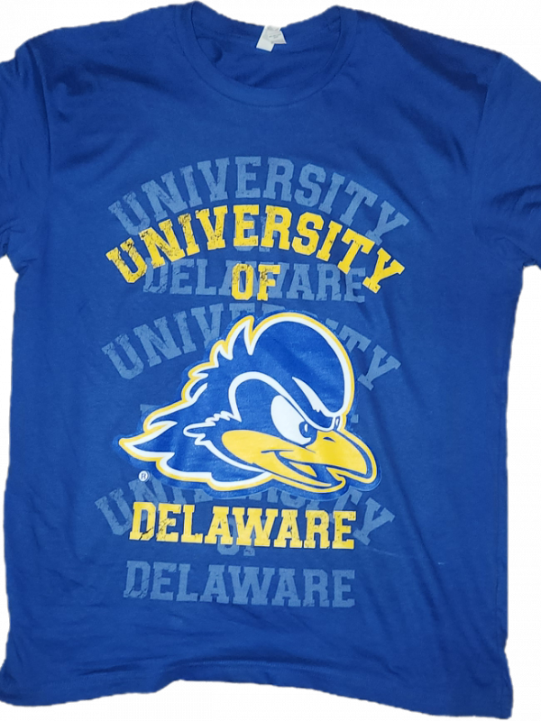UD Blindspot T
